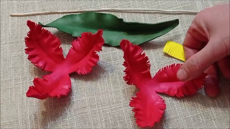 Тюльпаны