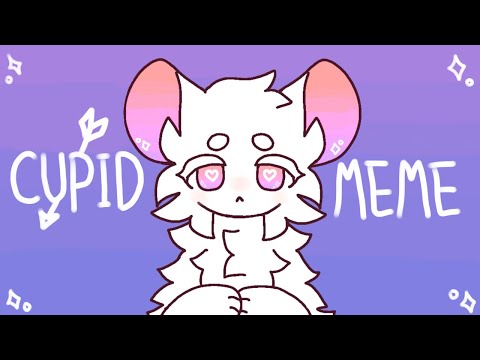꿀냥_Honey kitty
