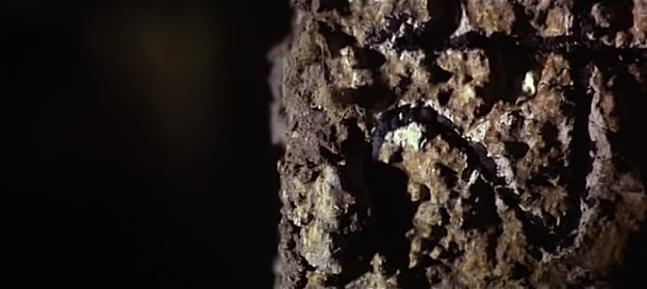 CINE ITALIANO DE TERROR