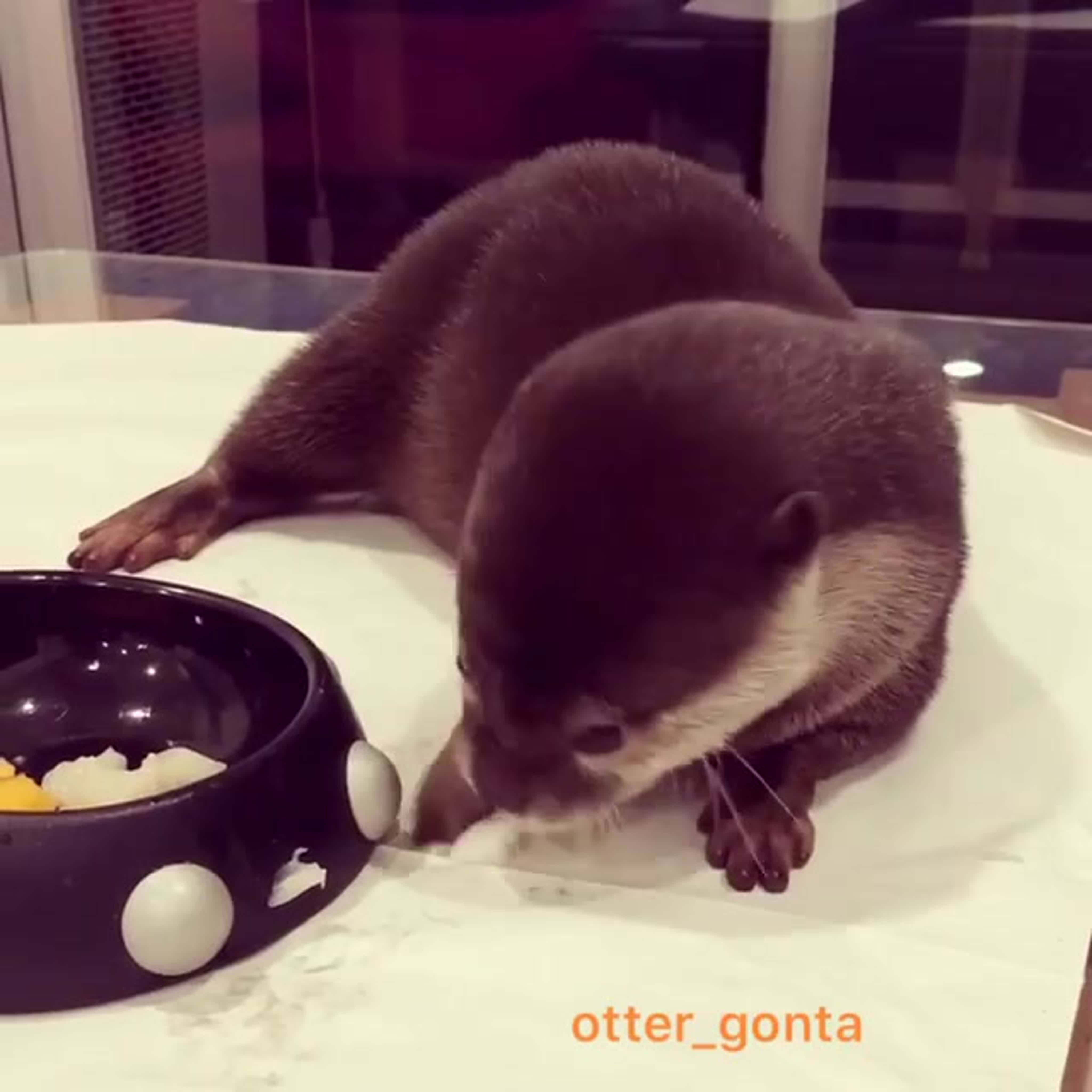 Гонта