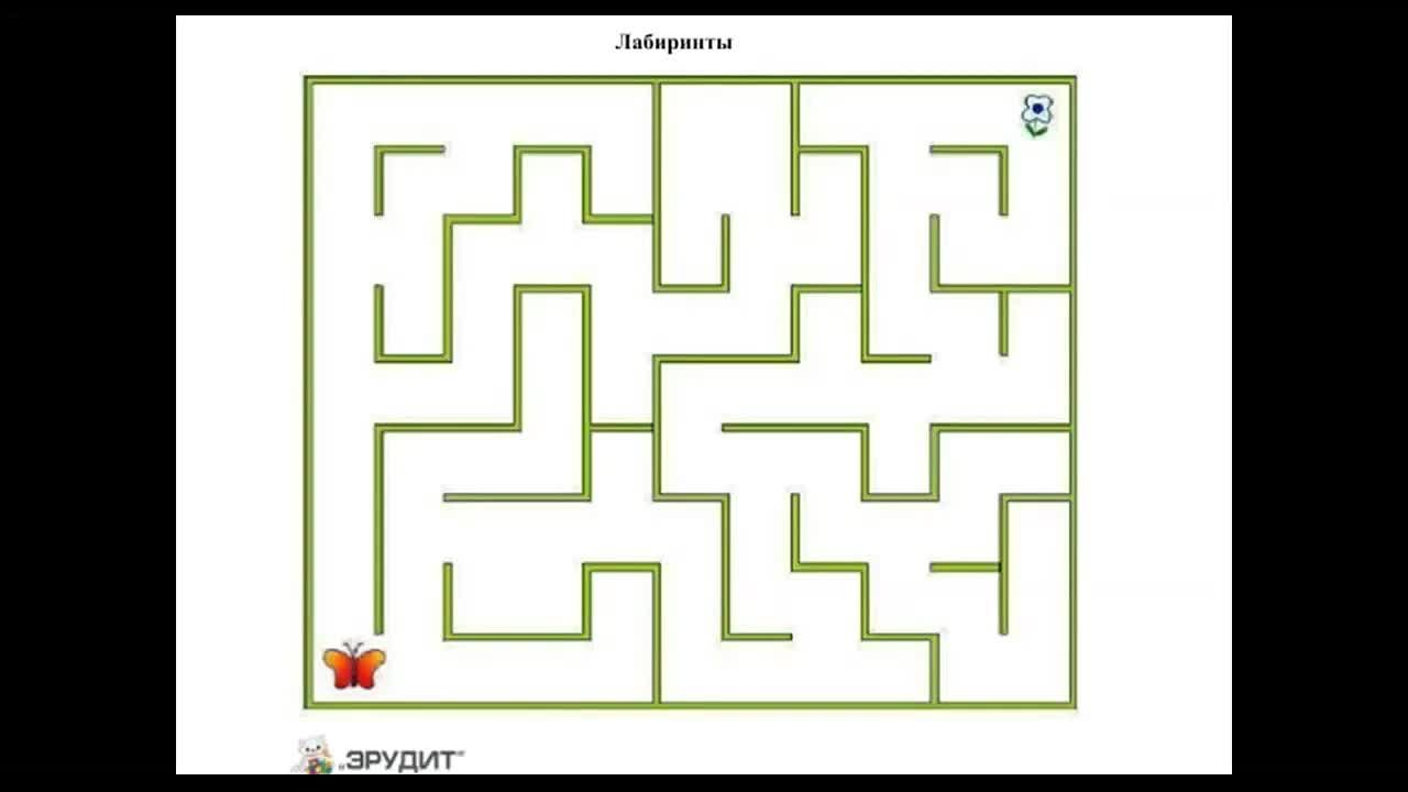 Лето твоих возможностей