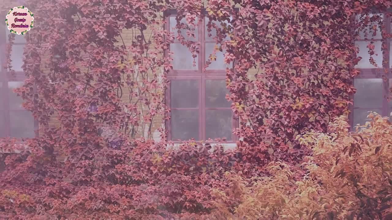Înfruntând destinul