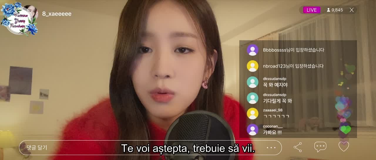 CÂT AI CLIPI