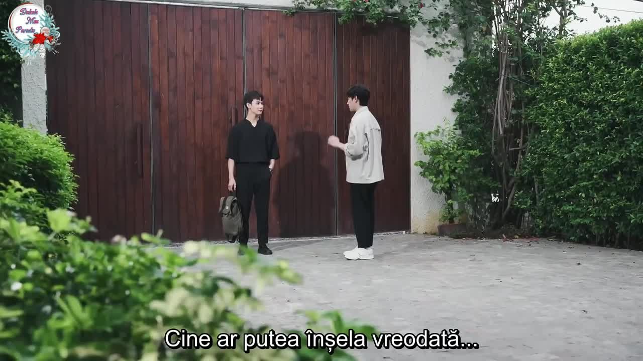 Cenușăreasa 2💕💕