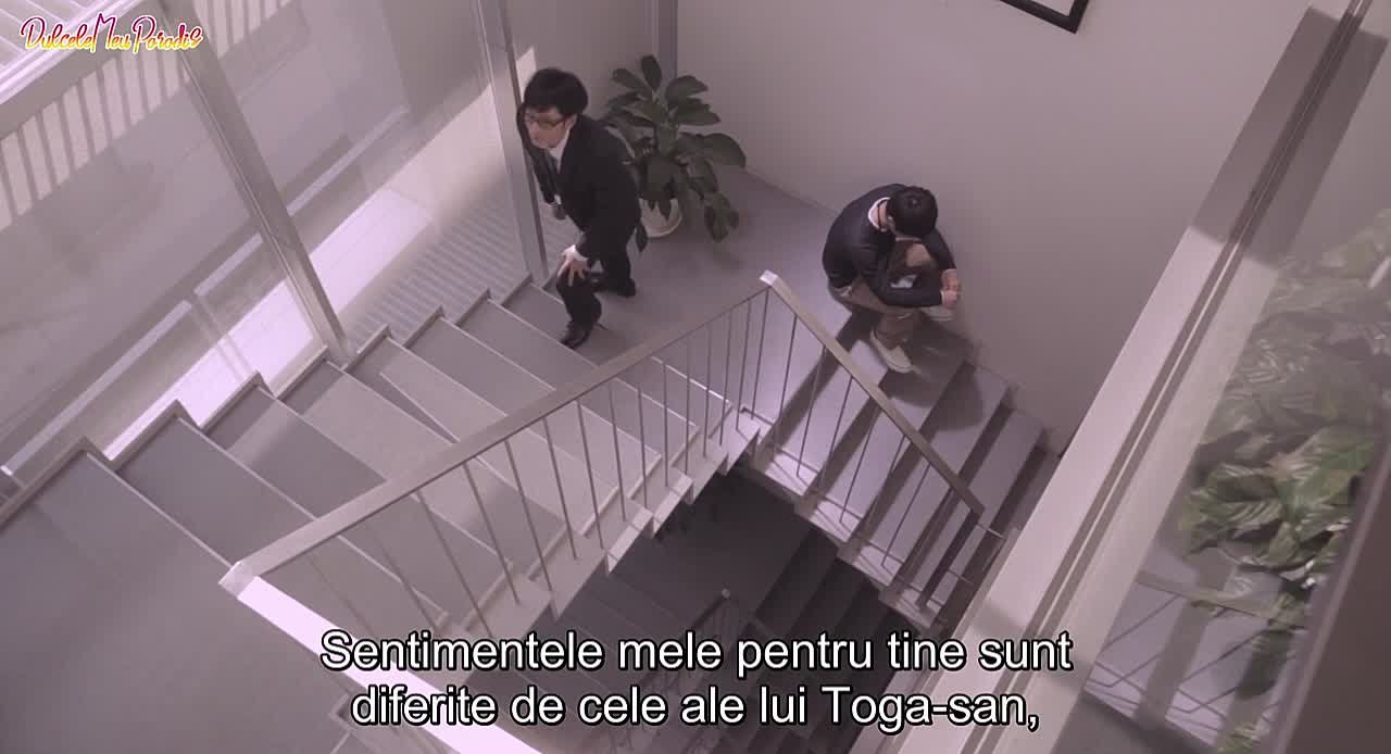 No touching at all (2014)