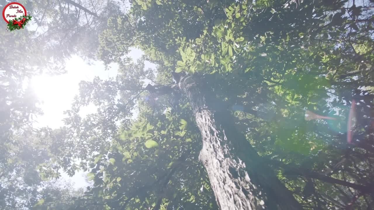 CĂLĂTORI ÎN ȚINUTURI ÎNDEPĂRTATE