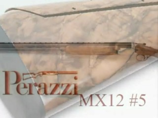 Стендовая стрельба