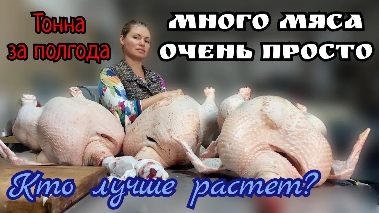 Индейка