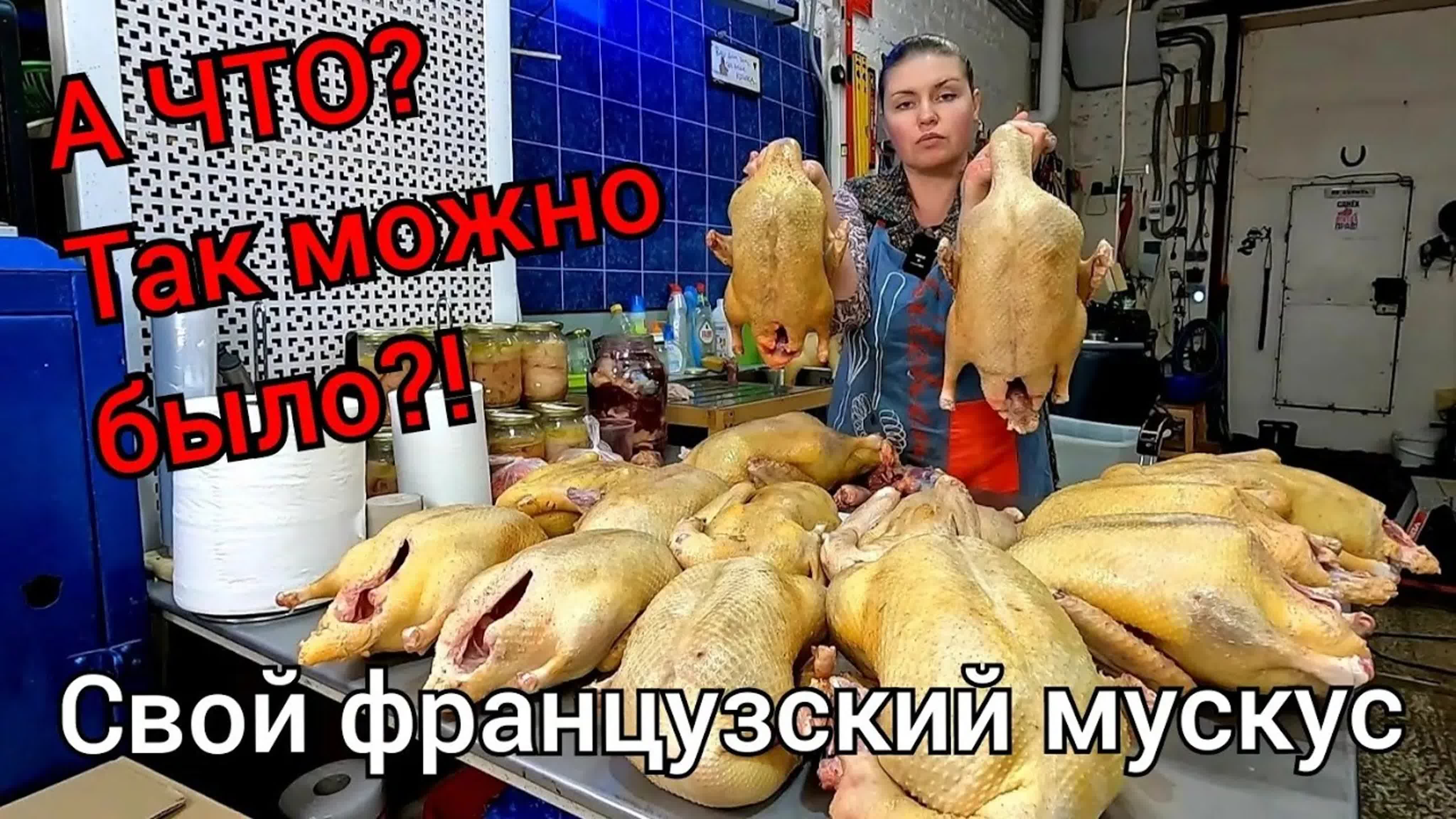 Утка