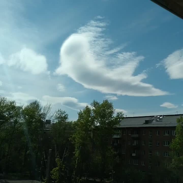 Разные видео