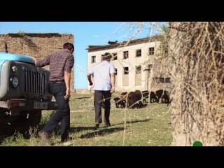 сериал Гюльчатай