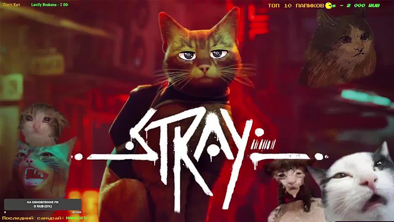 STRAY