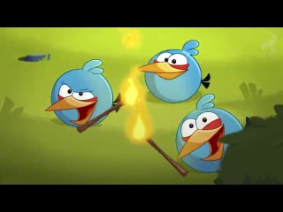 Angry birds