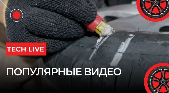 Популярные видео