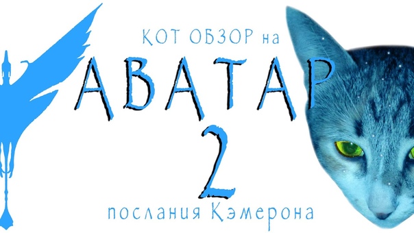 КОТ ОБЗОР