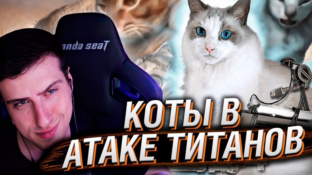 もふ猫NEWS