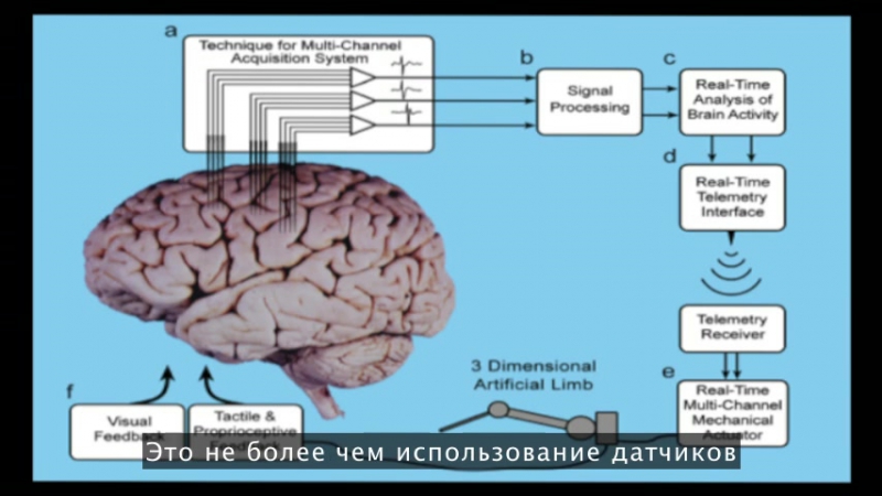 Мигель Николелис