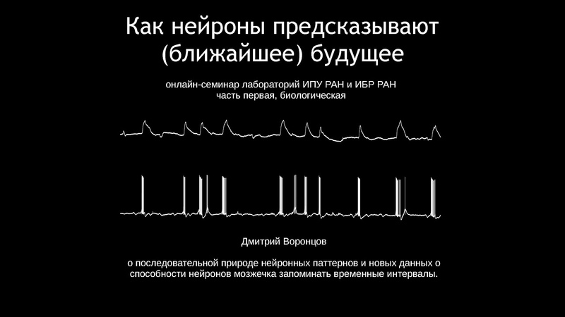 к.б.н. Д.Д. Воронцов