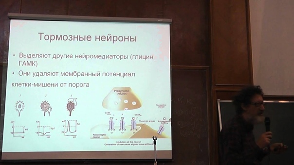 к.биол.н С.М. Глаголев