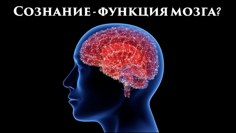 к.б.н. В.Л. Ушаков