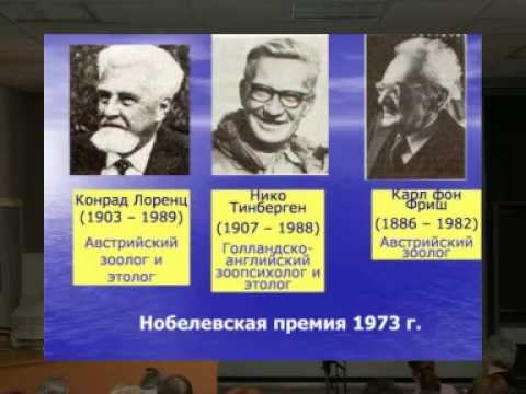 проф.  В.В. Шульговский