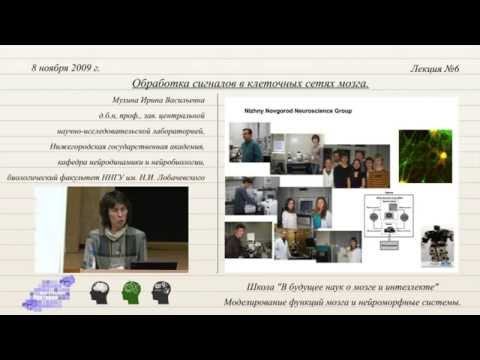 д-р биол. наук И.В. Мухина