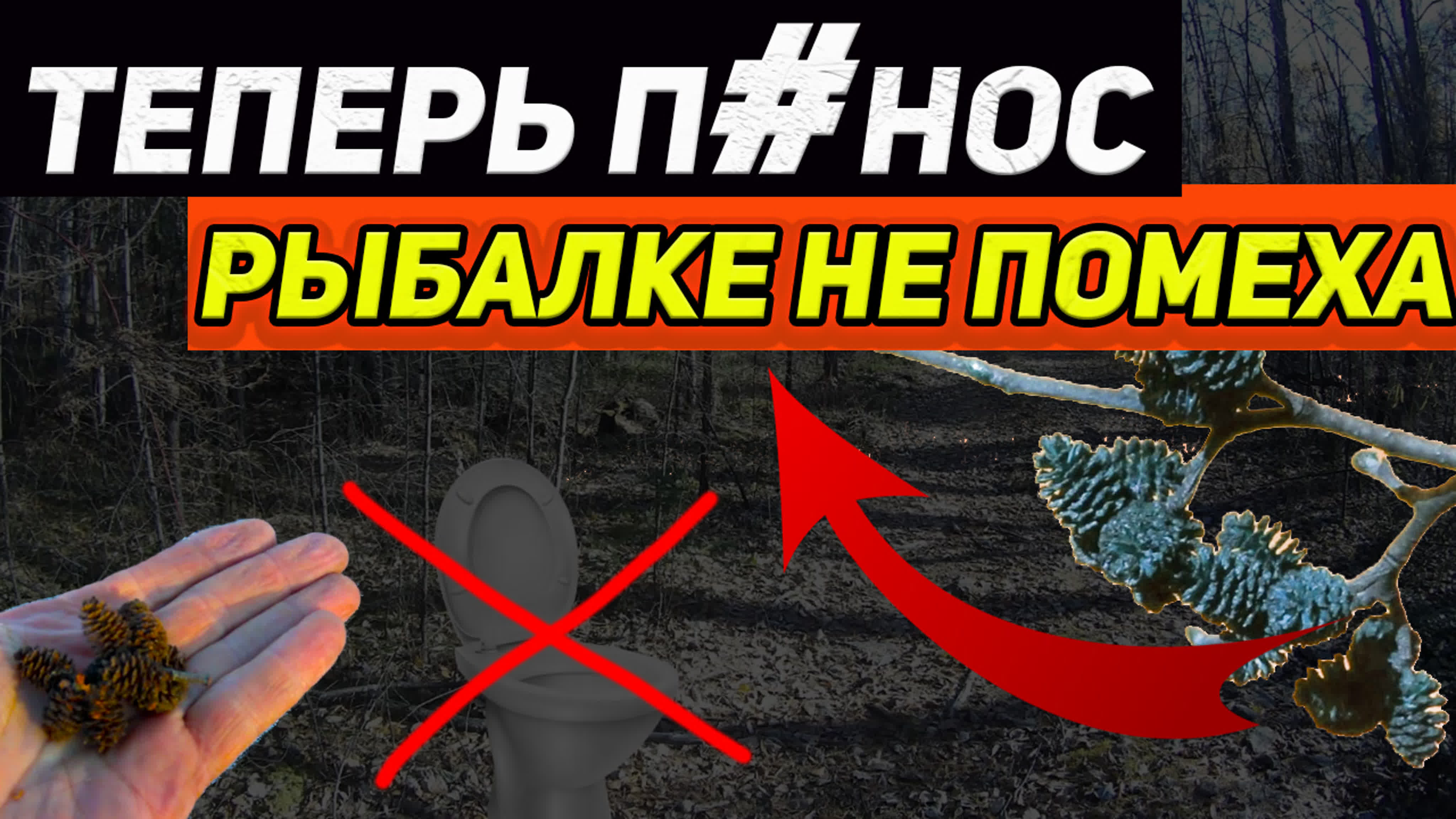 ЗЕЛЬЯ ТАЕЖНЫЕ