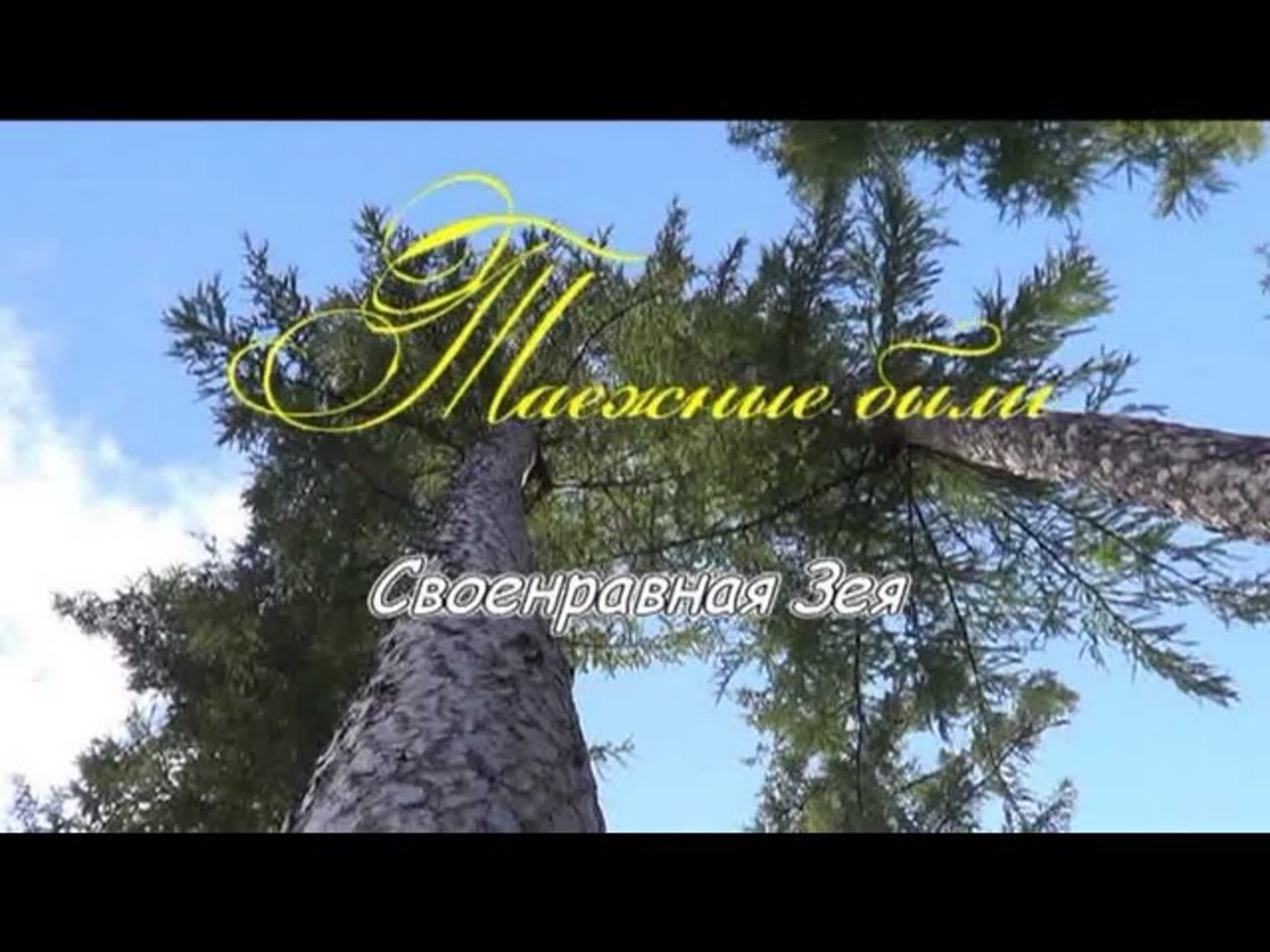 Реки бассейна Амура
