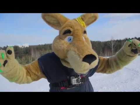 Фурри / Furry