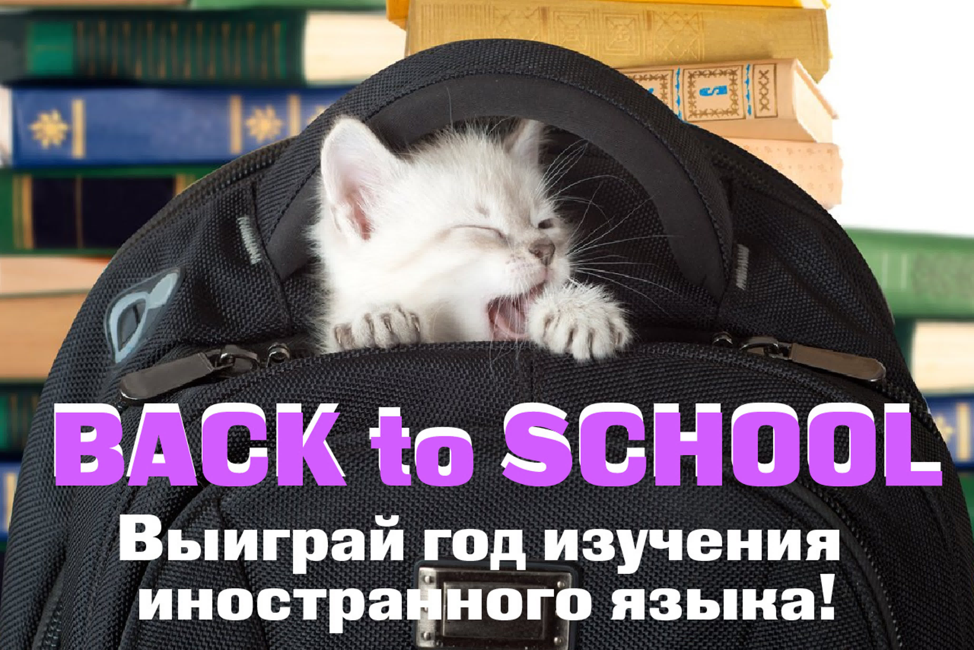 английский язык