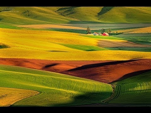 Vangelis