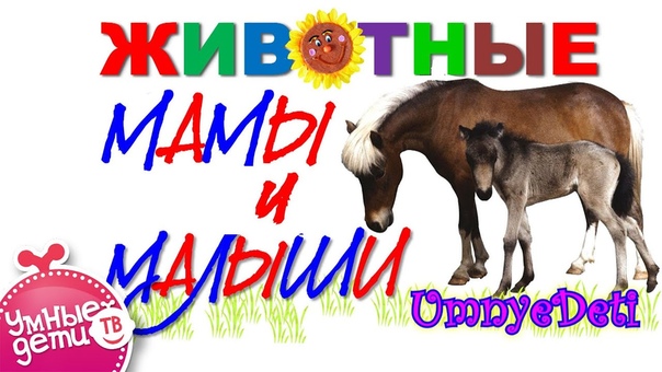Развивающие мультфильмы для детей