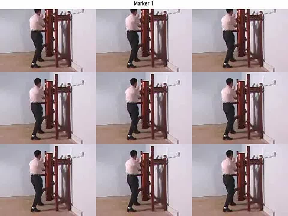 Benny Meng  -  Ip Man Wing Chun Series -  Dummy Section