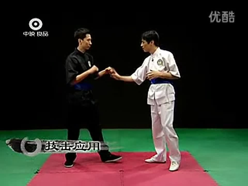 Wing Chun  6/12 методов