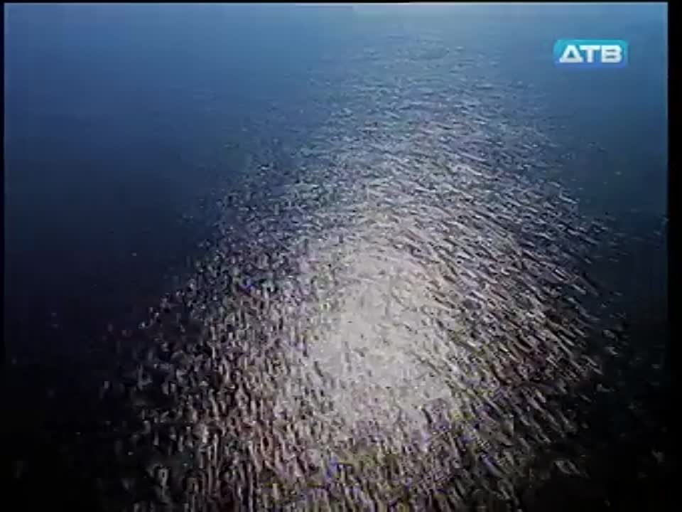 Катастрофы.