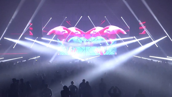 Animalz 2016 Sets