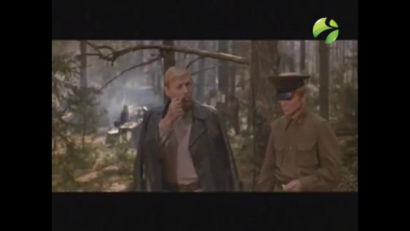 Бессмертный полк литературных героев