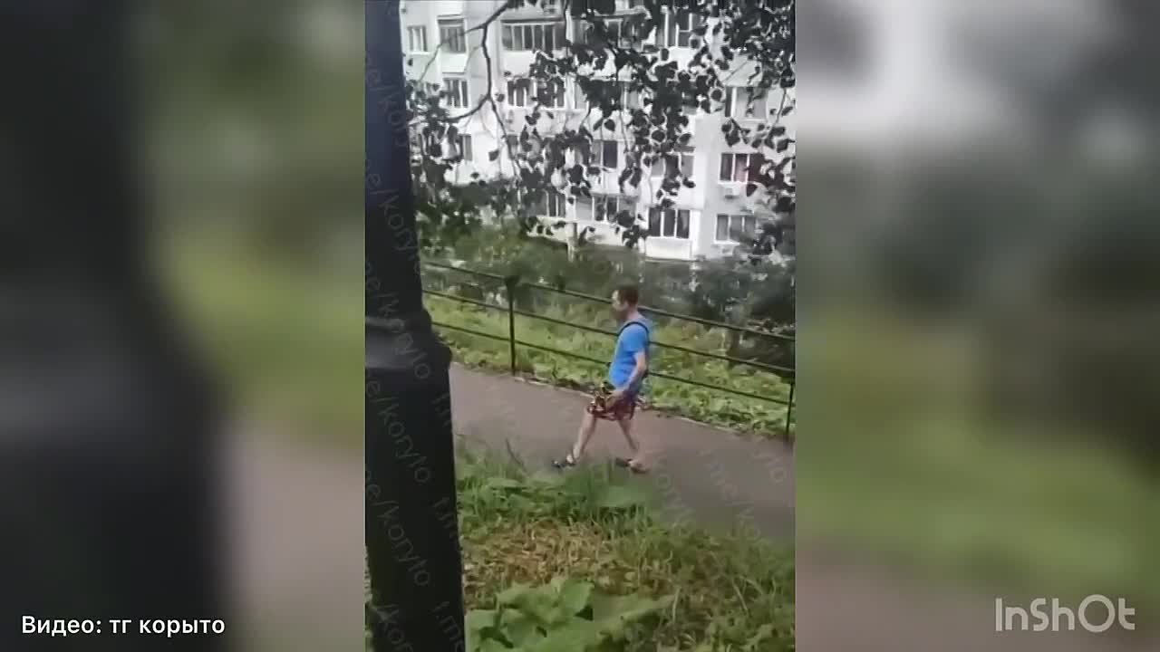 Драки, спорт