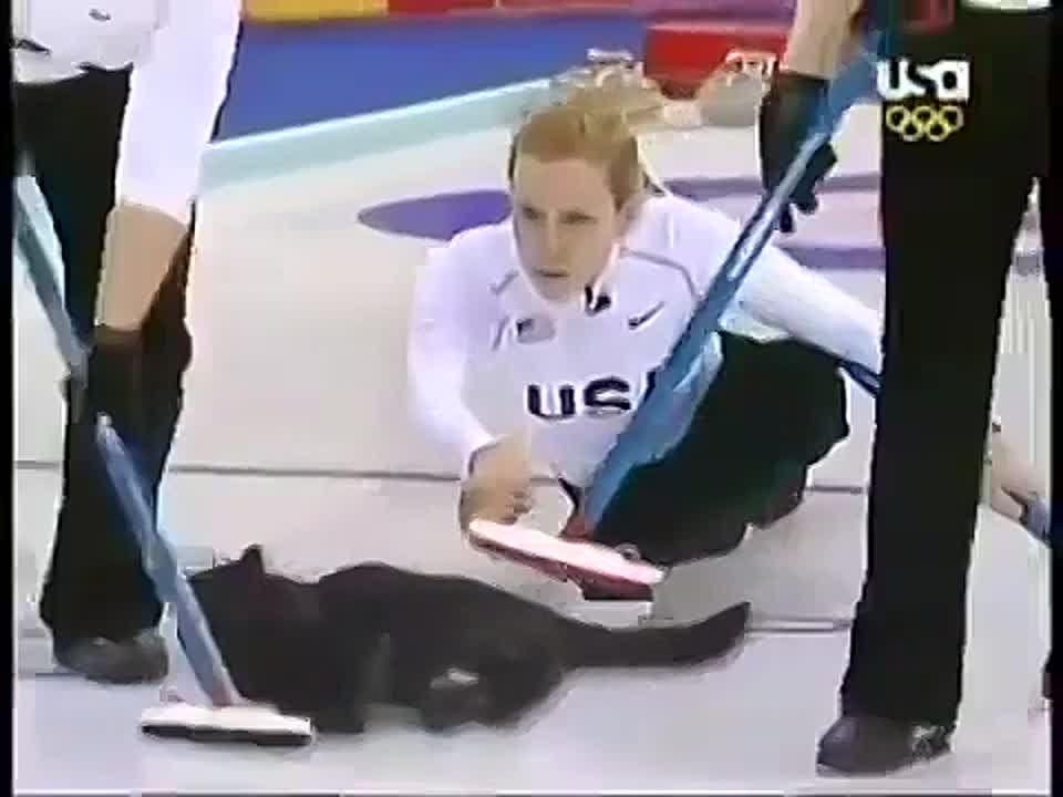 Животные