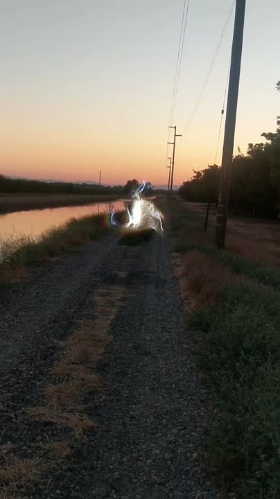 All videos