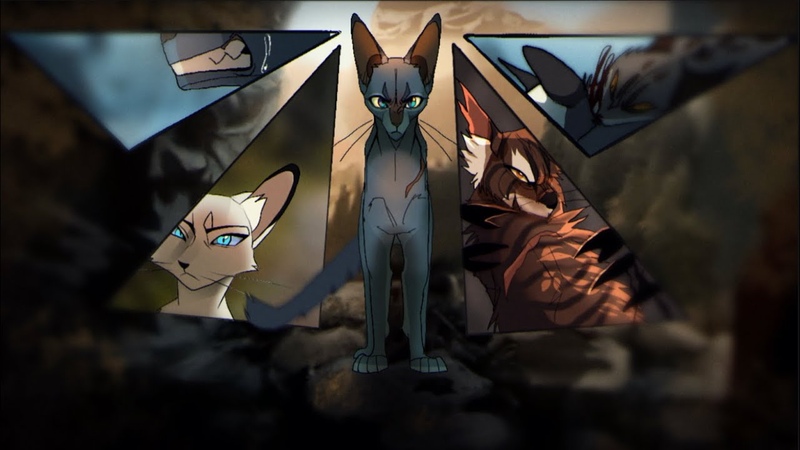 animation meme