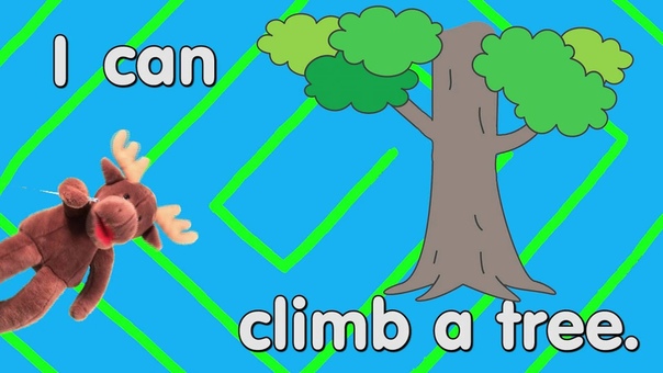 Maple Leaf Learning
