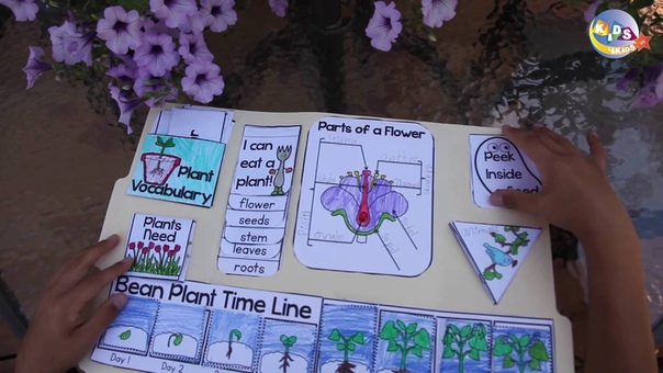 LAPBOOK