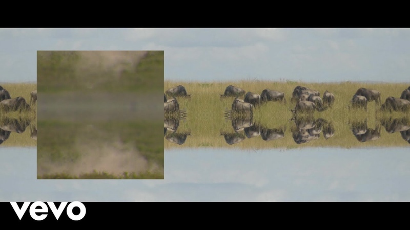 Lyric Video