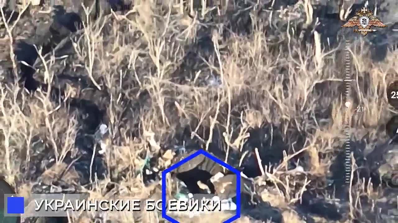 17   ДЕКАБРЯ 2023 ГОДА