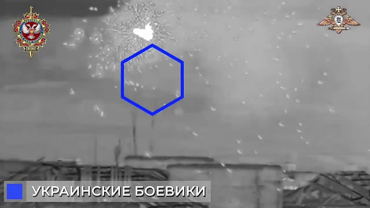 10  ДЕКАБРЯ 2023 ГОДА