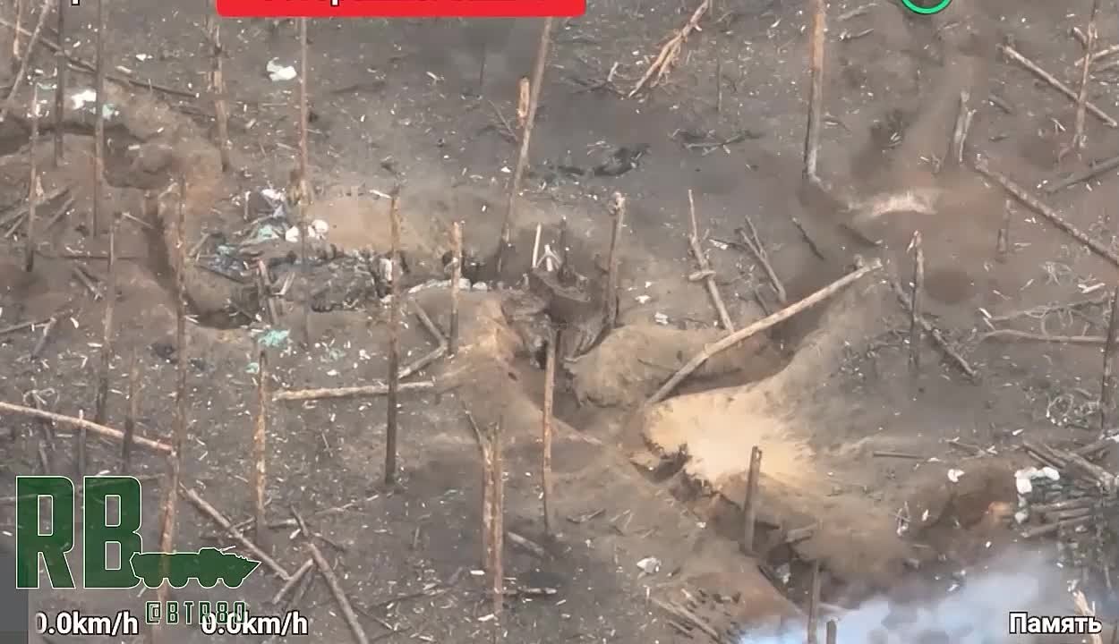 7  ДЕКАБРЯ 2023 ГОДА