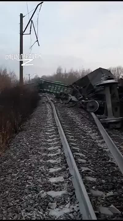 11   НОЯБРЯ 2023 ГОДА