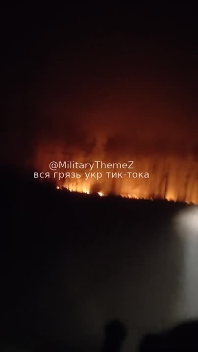 2 НОЯБРЯ 2023 ГОДА