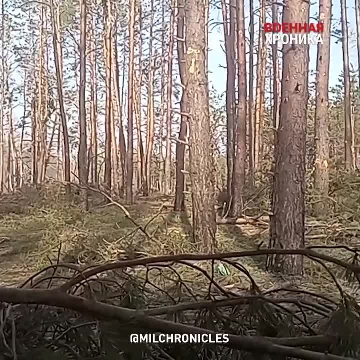 20   СЕНТЯБРЯ   2023 ГОДА